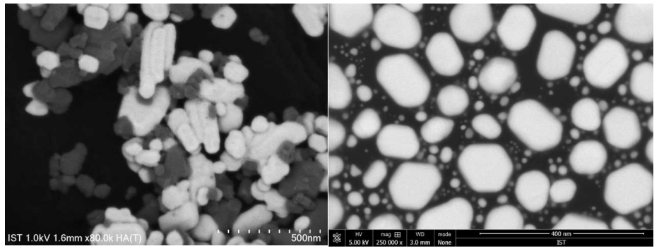 背向散射电子影像
